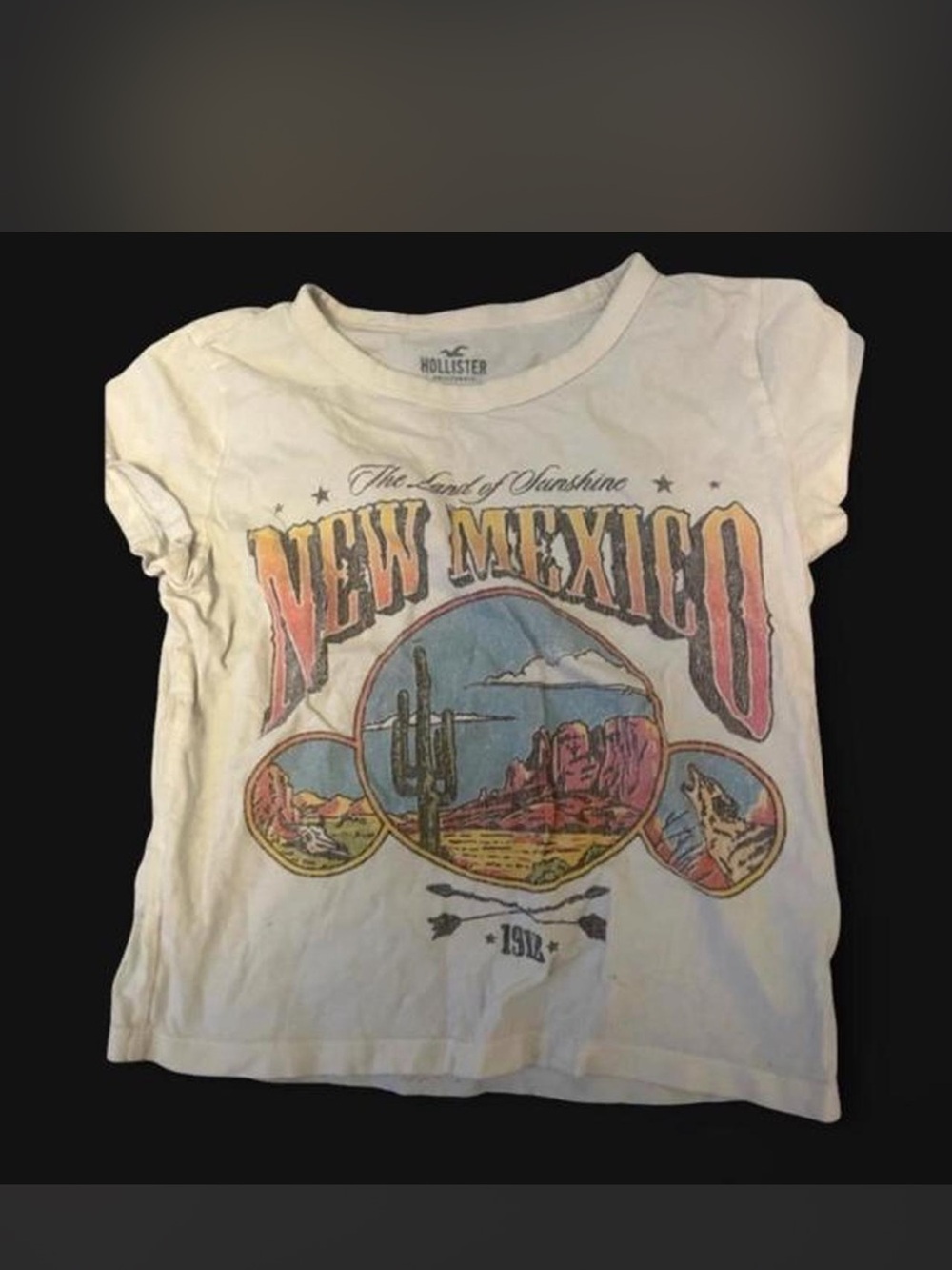 Hollister White Short Sleeve Tee with New Mexico Desert Graphic